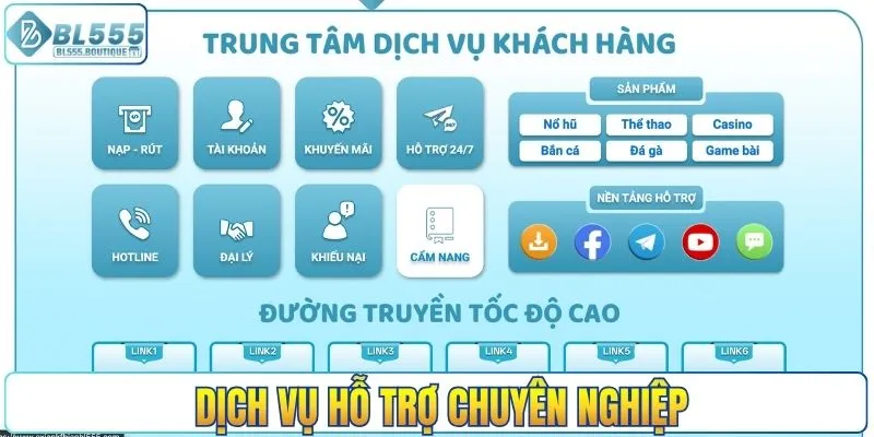 Dịch vụ hỗ trợ chuyên nghiệp