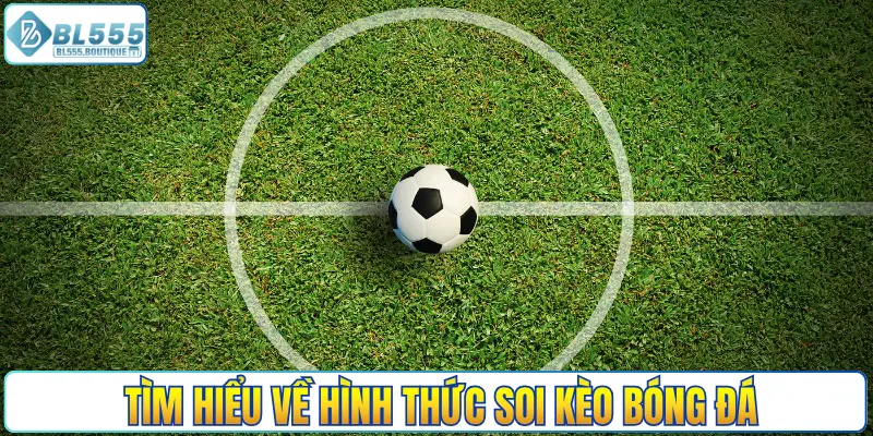 Tìm hiểu thực tế về hình thức soi kèo bóng đá